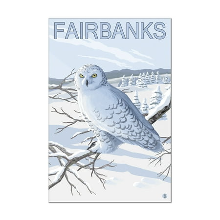Fairbanks Imports Fairbanks, Alaska - Snowy Owl - Lantern Press Artwork (8x12 Acrylic Wall Art Gallery Quality) ()