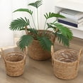 thumbnail image 5 of MOPOOR Woven Seagrass Plant Pots - Planter Basket Flower Pot Cover, Natural Wicker Plant Container Vase, Versatile for Indoor/Outdoor Plants, Can Also Be Used as a Decorative Trash Bin, 5 of 6