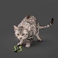 thumbnail image 3 of Playology Centipede Cat Toy with Catnip, 3 of 6
