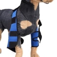 thumbnail image 4 of Soporte de Pierna de Perro Accesorios de Mascota Duradero - , se describe Colco Soporte para la articulación de la rodilla del perro, 4 of 8