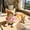 Pink, variant on Summer Pet Dog Apparel & Accessories, Soft Breathable Cooling Accessories for Dogs, Cat Clothesa for Outdoor Walking Blue Light Blue Pink