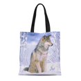 thumbnail image 1 of KDAGR Canvas Tote Bag Cold Timber Wolf Sitting in Snow Canis Lupus David Reusable Handbag Shoulder Grocery Shopping Bags, 1 of 1