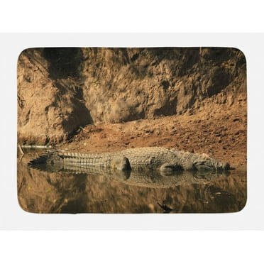 Africa Bath Mat, Nile Crocodile Swimming in the River Rock Cliffs Tanzania Hunter Geography Print, Non-Slip Plush Mat Bathroom Kitchen Laundry Room Decor, 29.5 X 17.5 Inches, Brown Tan, Ambesonne