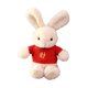 thumbnail image 4 of Muñeco de conejo de peluche grande 15,8 pulgadas Perfecl Estilo B, 4 of 8