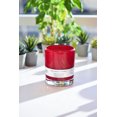 thumbnail image 5 of Better Homes & Gardens Red Lava Citrus 12oz Scented 2-wick Candle, 5 of 5