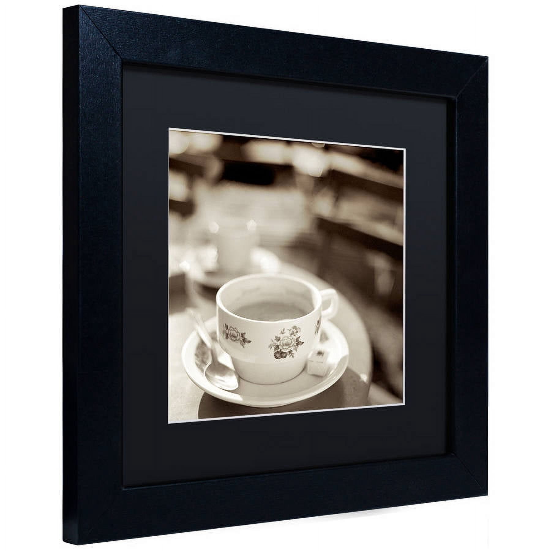 Trademark Fine Art "Jardin du Luxembourg II" Canvas Art by Alan Blaustein, Black Matte, Black Frame