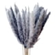 thumbnail image 1 of 15 piezas de arreglo floral artificial seco para jarrón, caña de Phragmites Gris, 1 of 9