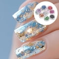 thumbnail image 4 of Nail Gold Foil Flakes for Manicure with 12Pcs Assorted Color Foil, 4 of 4