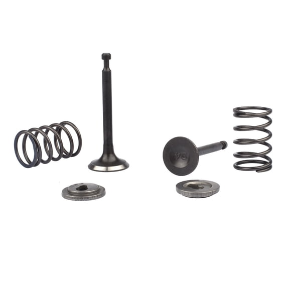 Intake Inlet Exhaust Valve Spring Retainer Stem Seal Lock Kit for Honda GX35 GX35NT HHT35S String Trimmer Brushcutter
