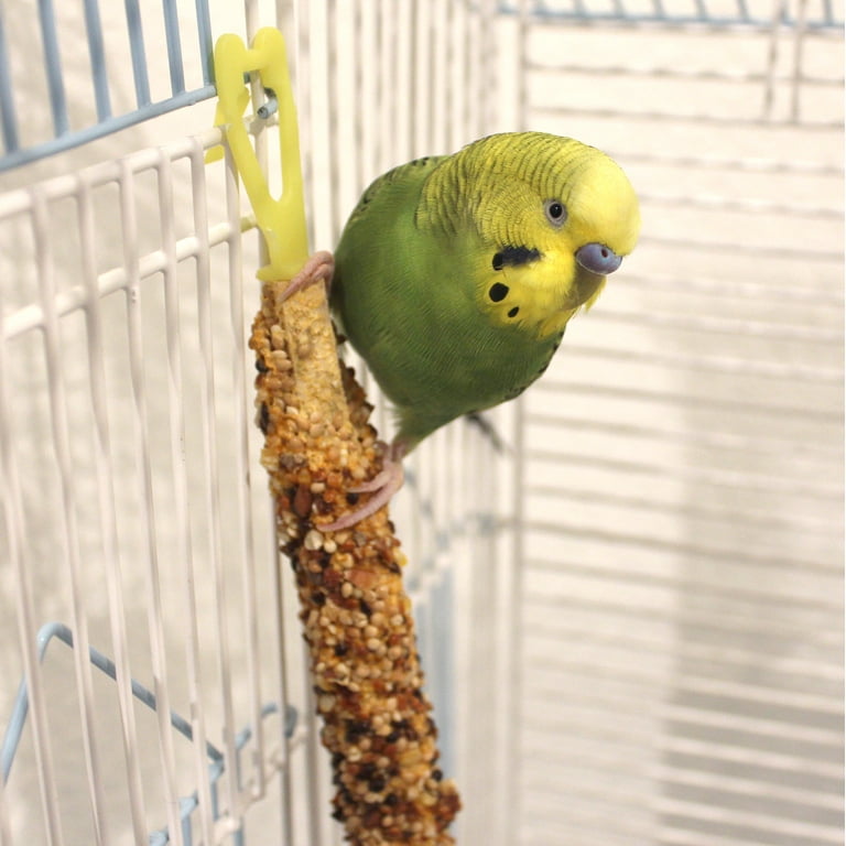 Pet bird clearance treats