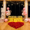 thumbnail image 5 of Be My Girlfriend" LED Light-Up Letters Set - 14 LED Letters & 1000 Rose Petals for Valentine's Day Proposal Decor, 5 of 6