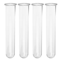 Worgeous 4 Pcs Test Tube Vase Growing Planter Outdoor Vases Flower Pots for Plants