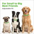 thumbnail image 4 of Collar antipulgas y garrapatas FurLife impermeable para perros, color rosa, 4 of 9
