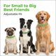 thumbnail image 4 of Collar antipulgas y garrapatas FurLife para perros, impermeable, verde, 4 of 9