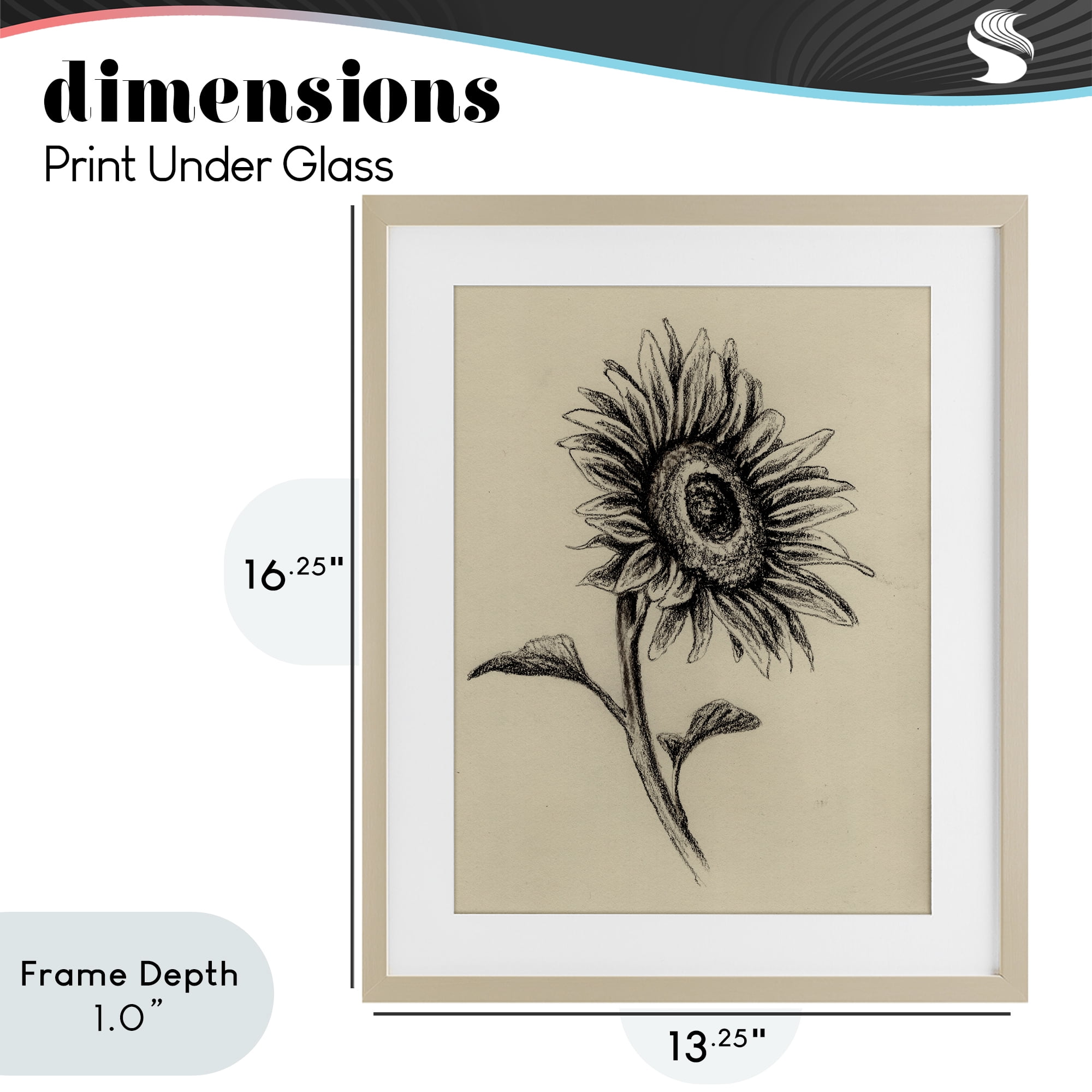 Stupell Industries Sunflowers in Charcoal Birch Framed Print Under Glass, design by Leah Noel Art