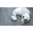 thumbnail image 5 of Juguetes para gatos, juguetes interactivos para gatos de interior, auto giratorio automático, juguete automático de luz para gatos con luz y plumas, USB, 5 of 5