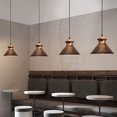 thumbnail image 4 of Plug In Ceiling Lights Dining Room Kitchen Island Metal Brown Antler Lamp Rattan Light Fixtures Ceiling Hanging, 4 of 4