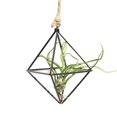 thumbnail image 1 of maskred Geometric Metal Flower Stand Wall-mounted Plant Rack Flower Holder, 1 of 6