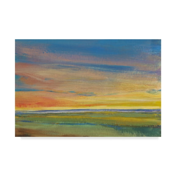 Trademark Fine Art 'Fading Light I' Canvas Art by Tim OToole