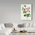 thumbnail image 3 of Trademark Fine Art 'Rosa Centifolia' Canvas Art by Pierre-Joseph Redoute, 3 of 3
