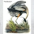 thumbnail image 3 of CafePress - Audubon Great Blue Heron (Front) Light T Shirt - Men's Classic Graphic T-Shirt, 3 of 4