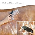 thumbnail image 3 of Peine y cepillo para quitar el pelo de los perros y los caballos, 6 en 1, 3 of 12