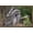 Bronze Framed Version, variant on The Comedy Wildlife Photography Awards: John Blumenkamp - Monday Blahs Wall Poster, 14.725" x 22.375"
