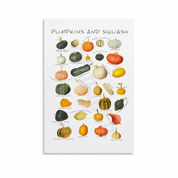 Different Types Pumpkin And Squash Poster (3) Canvas Painting Wall Art Poster for Bedroom Living Room Decor