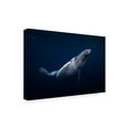 thumbnail image 2 of Barathieu Gabriel 'Humpback Whale' Canvas Art, 2 of 3