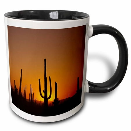 3dRose Giant saguaro cactus succulent, Arizona - US03 JME0109 - John and Lisa Merrill - Two Tone Black Mug, (Best Succulents For Arizona)