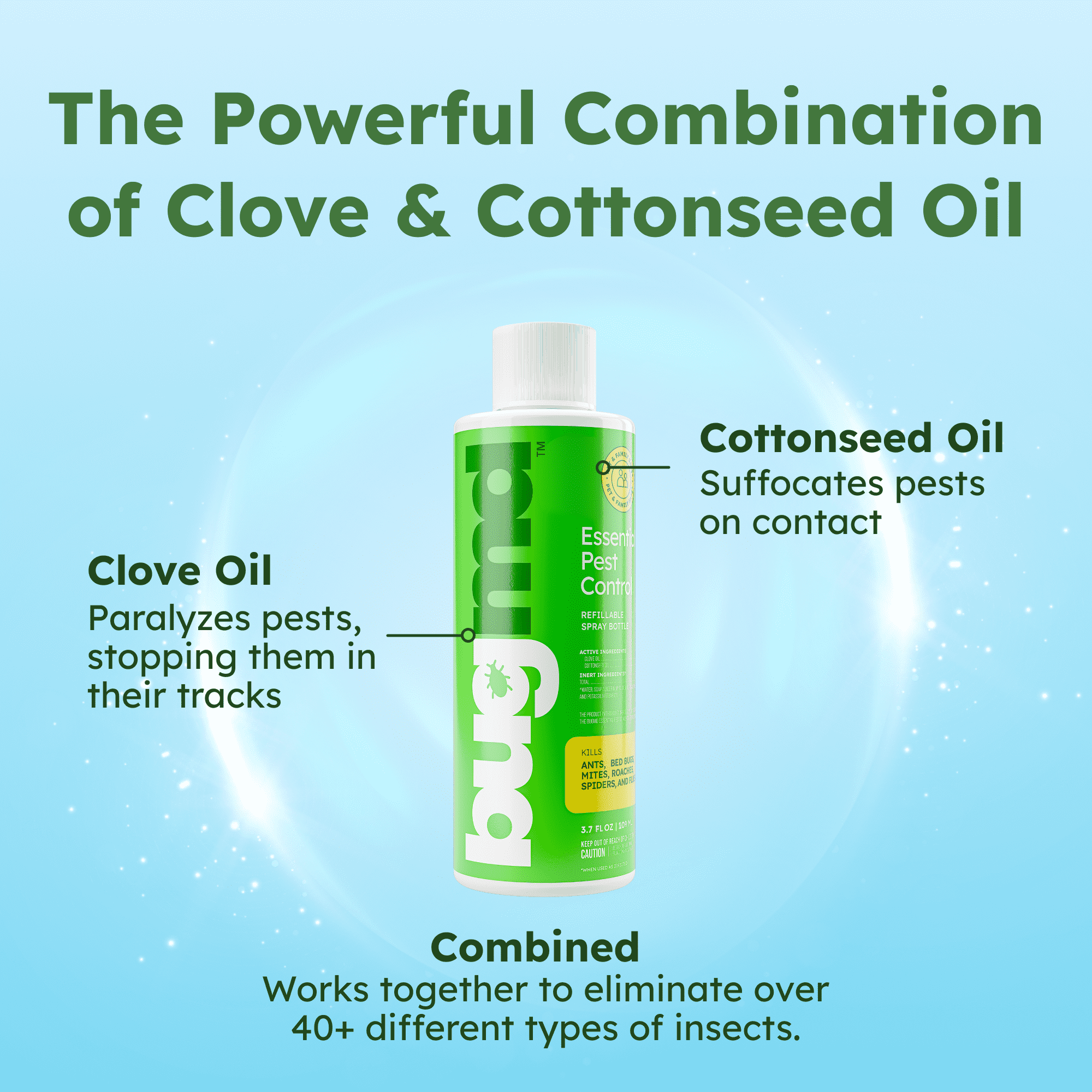 BugMD Pest Control Essential Oil Concentrate 4oz (6 Units) - Quick Kills Flies, Ants, Roaches & More!