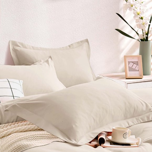 AIR-2 Pack Standard Size Pillow Shams Set, Soft Microfiber Pillowcases for Bed, 20x26 Inch, Solid Beige