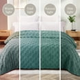 thumbnail image 4 of Exclusivo Mezcla Fleece Throw Blanket for Couch, Super Soft Warm Lightweight Checkered Pattern Blanket for All Seasons, Celadon, 50"x60", 4 of 7