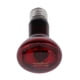 thumbnail image 2 of Lámpara de Calor Infrarroja Jinwen 2 Piezas Atornillada 220-240 V, 2 of 8