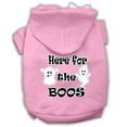 thumbnail image 1 of Here For The Boos Screenprint Dog Hoodie Light Pink M (12), 1 of 1