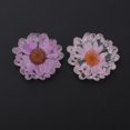 thumbnail image 4 of 2 Botones de Flores Secas de Cristal para Manualidades de Costura de Ropa de álbum de Recortes de Bricolaje Baoblaze Flores de cristal para manualidades, 4 of 8