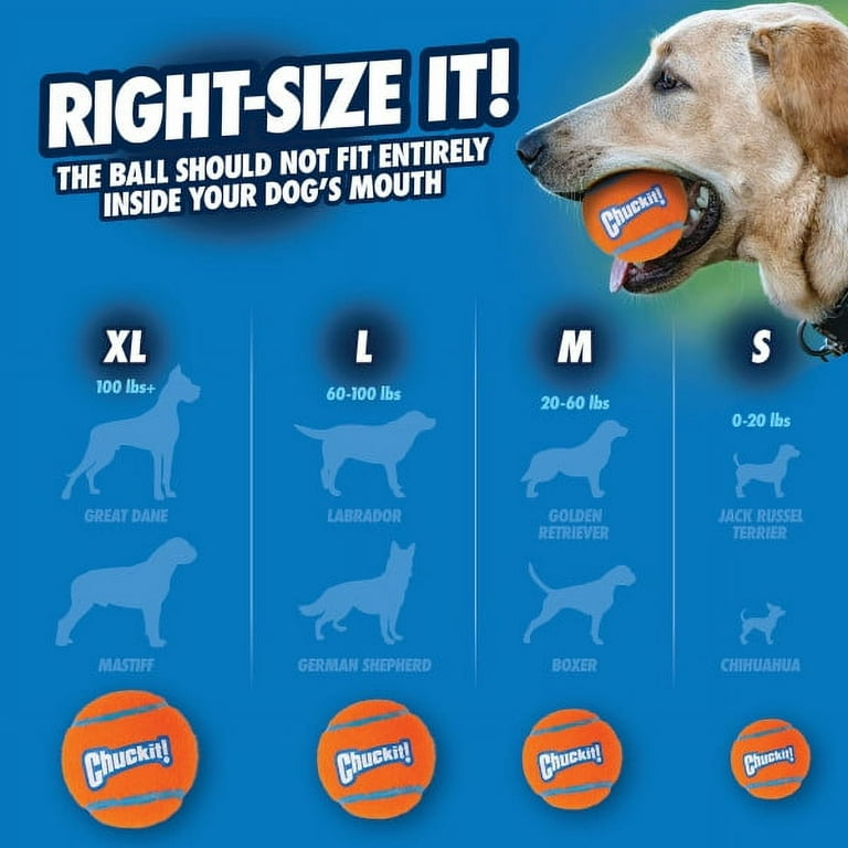 Chuck it tennis ball size sales