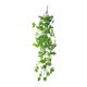 thumbnail image 5 of Guirnalda colgante de hojas de hiedra artificiales, hojas de begonia falsas para cestas de pared, guirnalda de boda, decoración de interiores y exteriores., 5 of 5