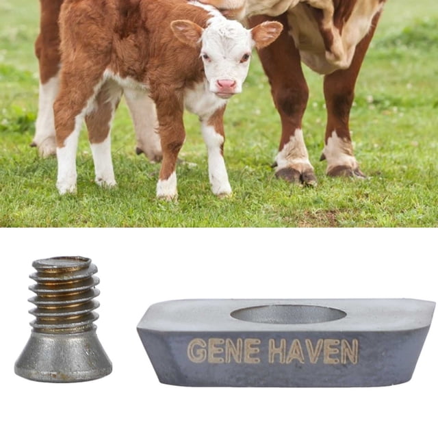 Herramienta para cortar pezuñas herramientas para cortar pezuñas de ganado cortador de pezuñas para trabajo pesado huella de aluminio duradera para vacas ganado cabras ANGGREK Otros