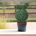 thumbnail image 3 of Topiario de conejo, 23.6 pulgadas, verde, con forma de conejo, planta de conejo de Pascua artificial, topiario de boj, cedro artificial en maceta con estaca., 3 of 7