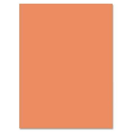 - Nature Saver 100% Recycled Construction Paper (nat-22306)