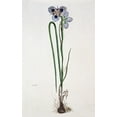 thumbnail image 2 of Gordon, Robert J. 10x14 White Modern Wood Framed Museum Art Print Titled - Iris, 2 of 4
