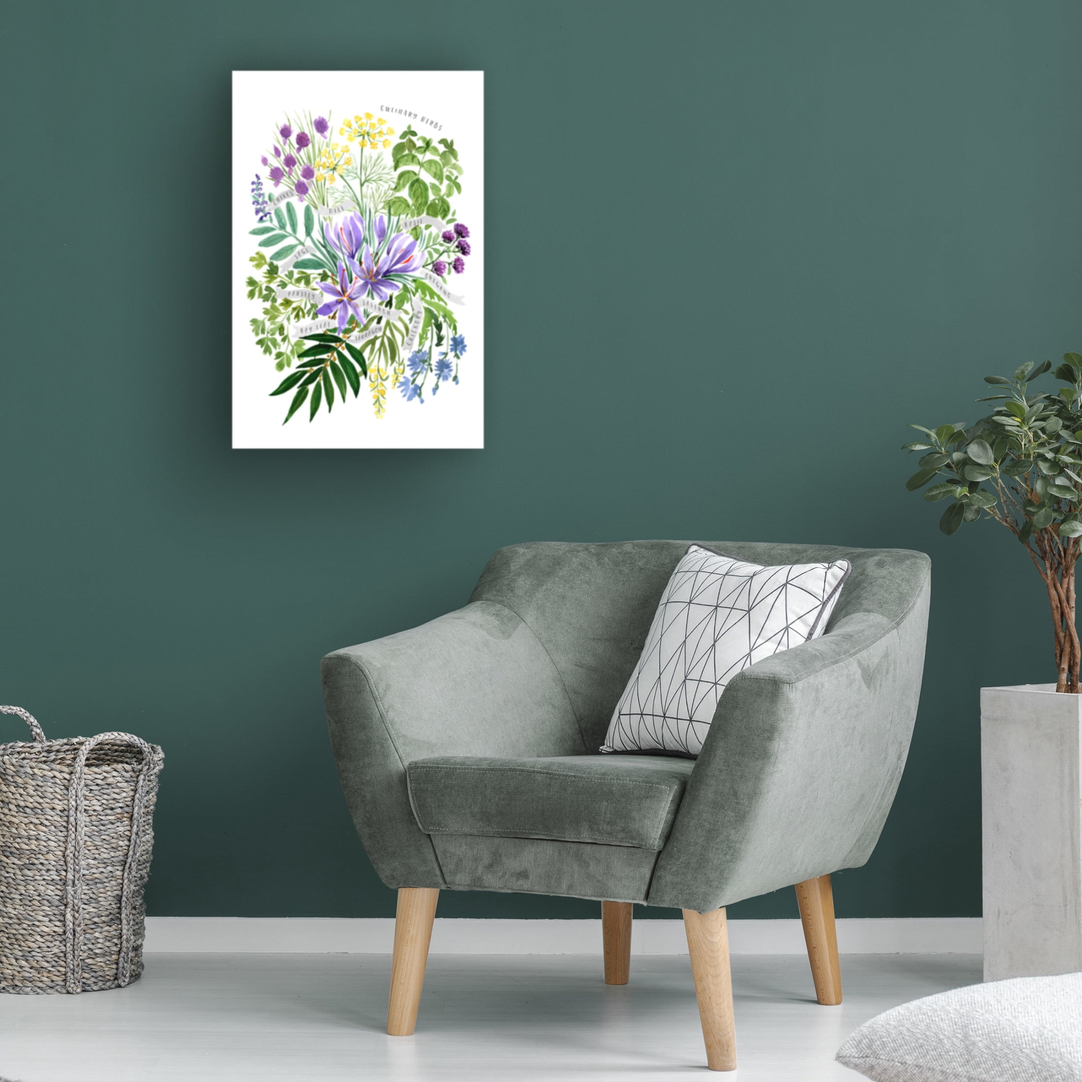 Trademark Fine Art Rosana Laiz Blursbyai Culinary herbs Canvas Wall Art