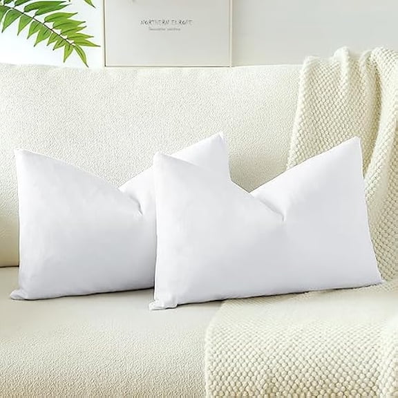 Eryueer Set of 2 Velvet Soft Solid Cushion Covers 30x50 cm Decorative Throw Pillow Covers Soft Lumbar Cushion Case Couch Home Decor Throw Pillow Cases for Sofa Bedroom 12x20 Inch (Pure White)