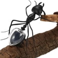 thumbnail image 1 of HUASHENG Solar Educational Novelty Kids Cute Powered Toy Toy Education, 1 of 5