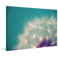 thumbnail image 2 of Marmont Hill "Dandelion Puffs" by Sylvia Cook Painting Print on Wrapped Canvas, 2 of 4