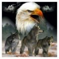 thumbnail image 1 of Cuadros Decorativos Kit de pintura al óleo sin marco de águila y lobo por números, arte de imagen pintado a mano Sywqhk Nuevos Originales, 1 of 9