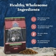 thumbnail image 3 of Blue Buffalo Wilderness Adult Grain-Free Dry Dog Food with Natural Ingredients, Salmon, 24-lb. Bag, 3 of 13