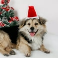 thumbnail image 3 of Christmas Pet Hat Santa Claus Red Cute Cat Dog Costume Accessory Holiday Outfit, 3 of 10