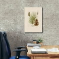 thumbnail image 3 of Epic Graffiti'Vintage Pine Cone' by Stellar Design Studio, Giclee Canvas Wall Art, 18"x26", 3 of 8